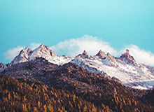 博鱼——引领潮流的智能钓鱼体验